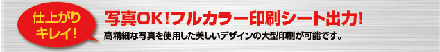 高精細な写真を使用した美しいデザインの大型印刷が可能です